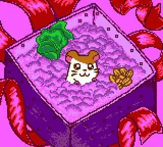 Tottoko Hamtaro: Tomodachi Daisakusen Dechu (GBC)