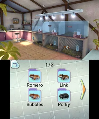 PET HOSPITAL (3DS)