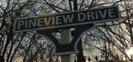 Pineview Drive (NSW)