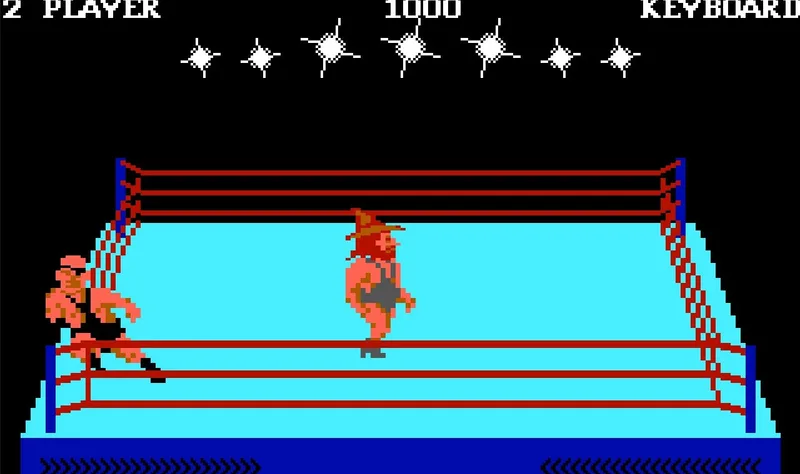 Bop'N Wrestle (PC)