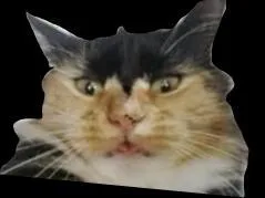 Pang (itch) (bprince)