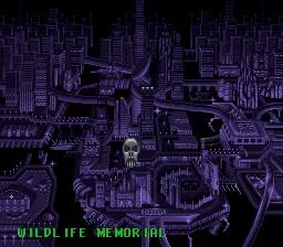 Phantom 2040 (SNES)